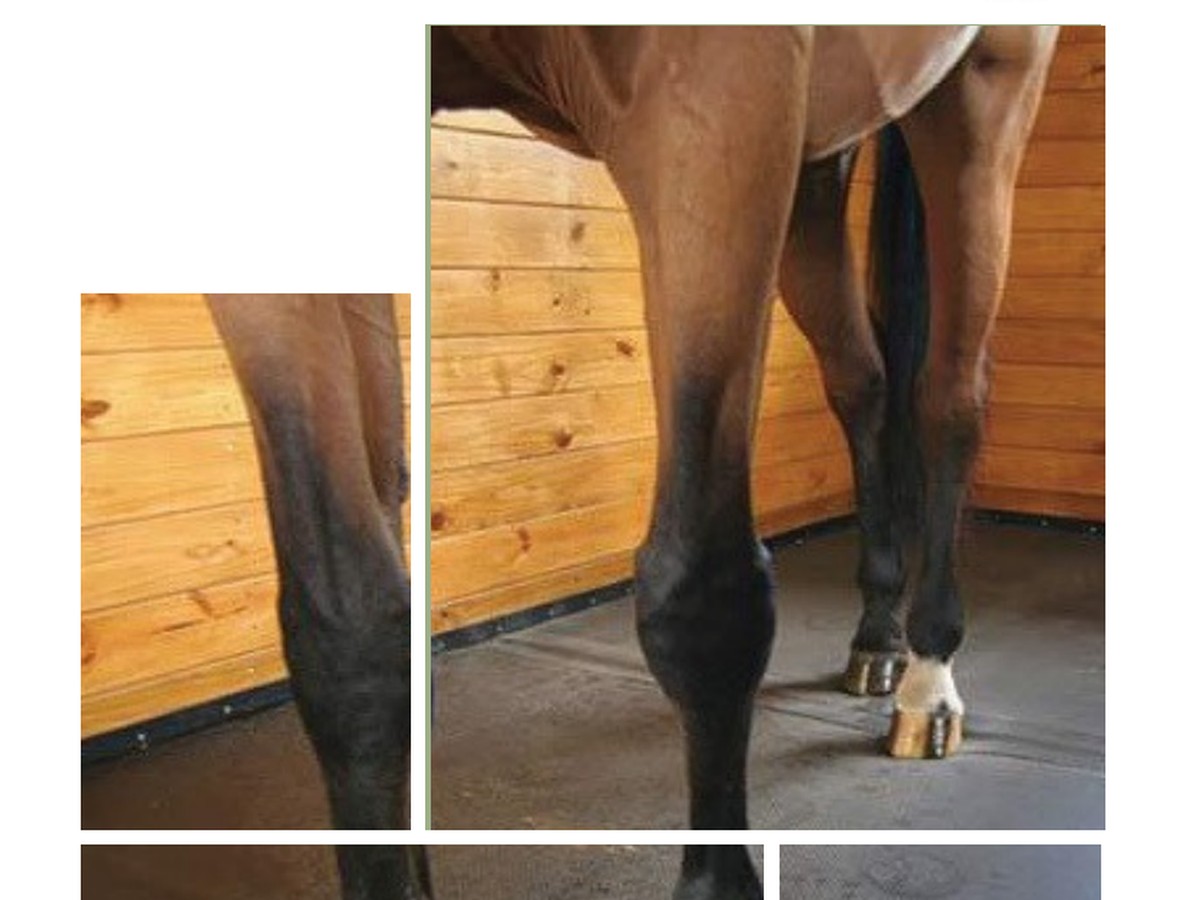 Interlocking Stall Mat